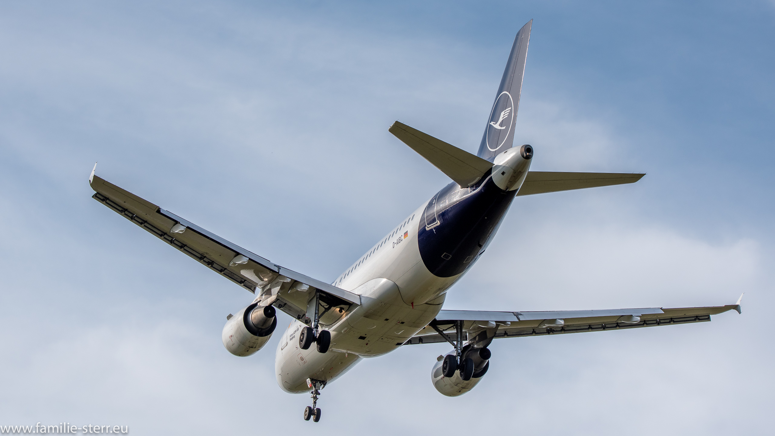 D-AIBC